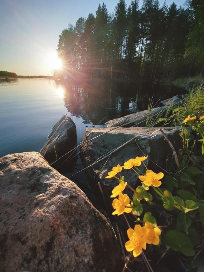 Koivuranta Villa Pihtipudas Buitenkant foto